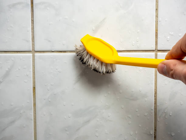 Best Emergency Mold Removal  in Sharon, TN