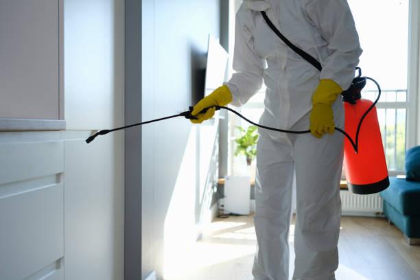 Best Attic Mold Removal  in Sharon, TN